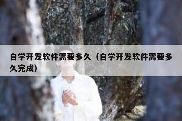 自学开发软件需要多久（自学开发软件需要多久完成） 第1张