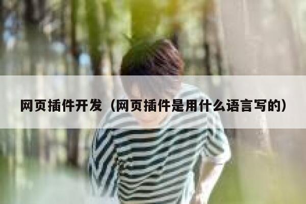 网页插件开发（网页插件是用什么语言写的） 第1张