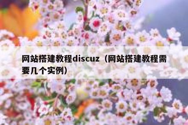 网站搭建教程discuz（网站搭建教程需要几个实例） 第1张