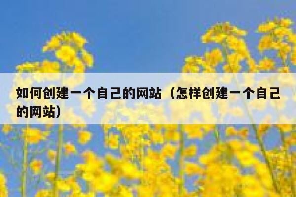 如何创建一个自己的网站（怎样创建一个自己的网站） 第1张