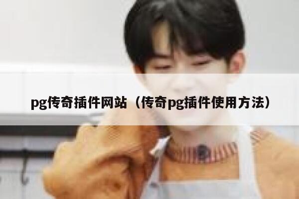 pg传奇插件网站（传奇pg插件使用方法） 第1张