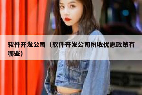 软件开发公司（软件开发公司税收优惠政策有哪些） 第1张