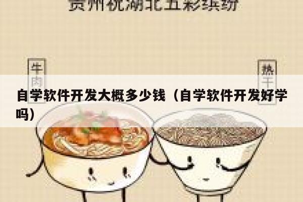 自学软件开发大概多少钱（自学软件开发好学吗） 第1张