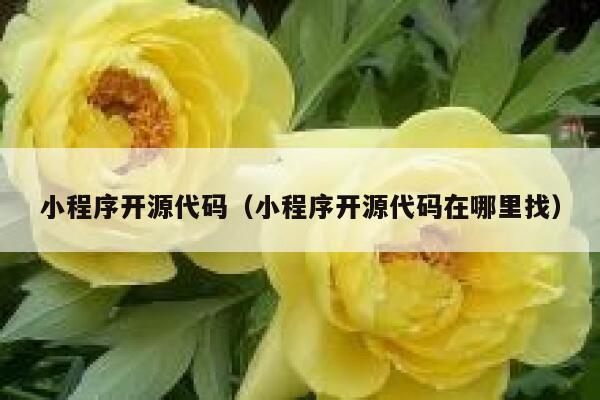 小程序开源代码（小程序开源代码在哪里找） 第1张