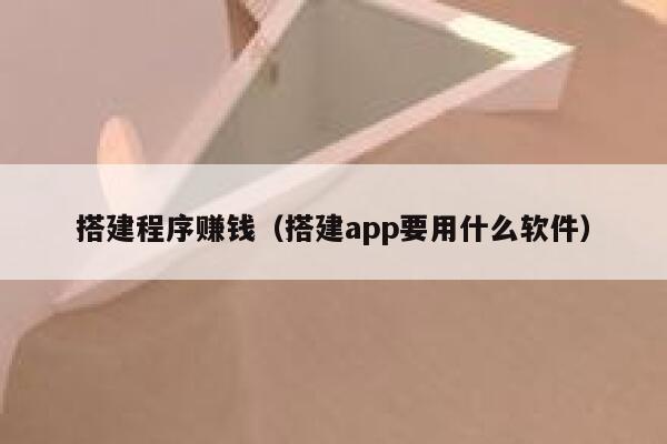 搭建程序赚钱（搭建app要用什么软件） 第1张
