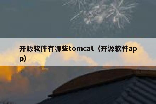 开源软件有哪些tomcat（开源软件app） 第1张
