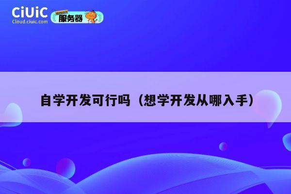 自学开发可行吗（想学开发从哪入手） 第1张