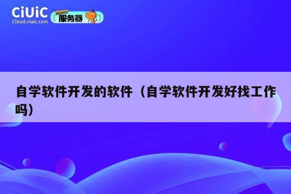自学软件开发的软件（自学软件开发好找工作吗） 第1张