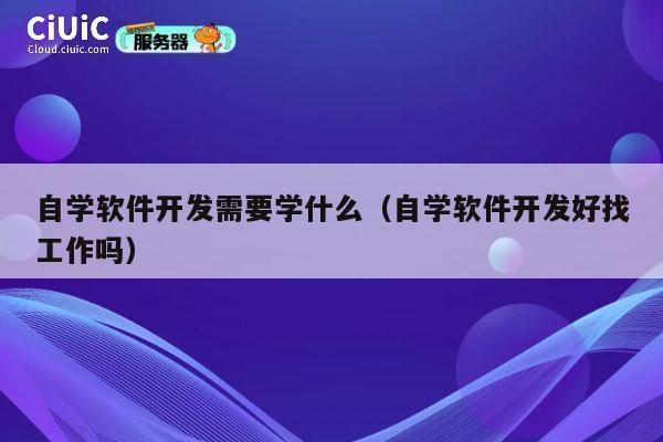 自学软件开发需要学什么（自学软件开发好找工作吗） 第1张