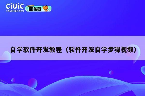 自学软件开发教程（软件开发自学步骤视频） 第1张