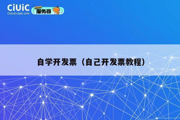 自学开发票（自己开发票教程） 第1张