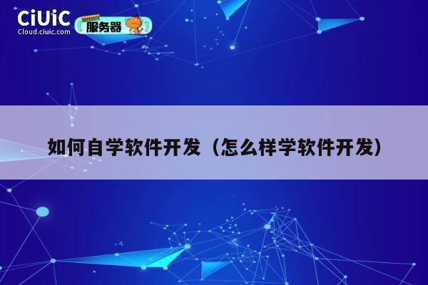 如何自学软件开发（怎么样学软件开发） 第1张