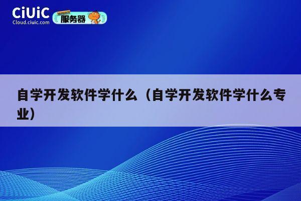 自学开发软件学什么（自学开发软件学什么专业） 第1张