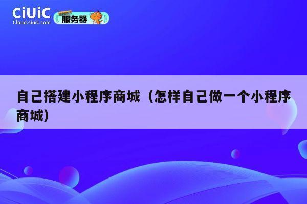 自己搭建小程序商城（怎样自己做一个小程序商城） 第1张