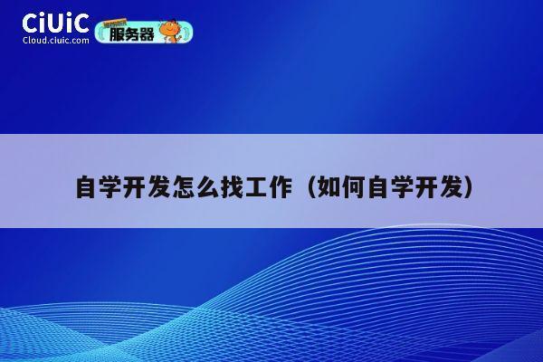 自学开发怎么找工作（如何自学开发） 第1张
