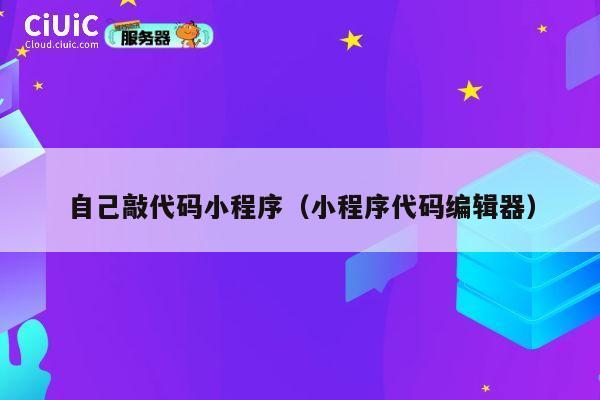 自己敲代码小程序（小程序代码编辑器） 第1张