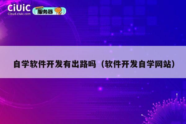 自学软件开发有出路吗（软件开发自学网站） 第1张