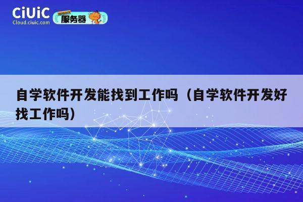 自学软件开发能找到工作吗（自学软件开发好找工作吗） 第1张