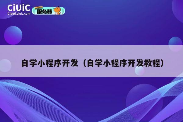 自学小程序开发（自学小程序开发教程） 第1张
