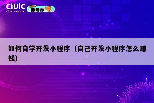 如何自学开发小程序（自己开发小程序怎么赚钱） 第1张