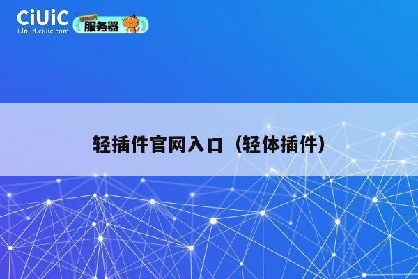 轻插件官网入口（轻体插件） 第1张