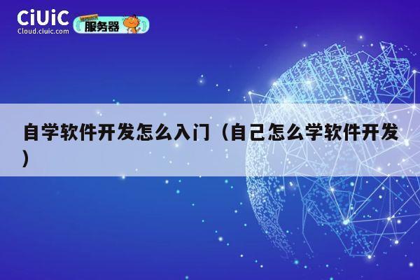 自学软件开发怎么入门（自己怎么学软件开发） 第1张