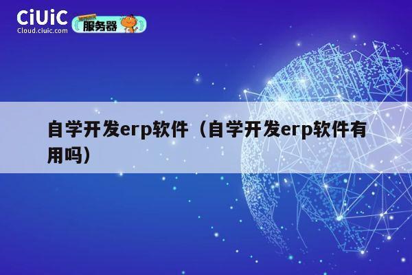自学开发erp软件（自学开发erp软件有用吗） 第1张