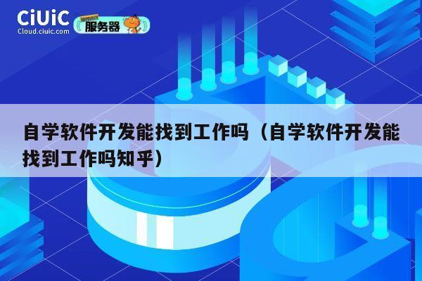 自学软件开发能找到工作吗（自学软件开发能找到工作吗知乎） 第1张