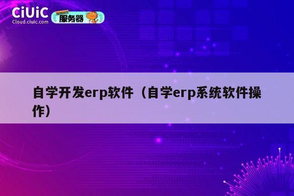自学开发erp软件（自学erp系统软件操作） 第1张