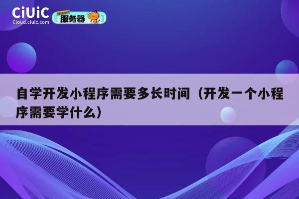 自学开发小程序需要多长时间（开发一个小程序需要学什么） 第1张