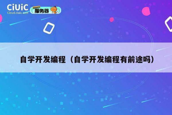 自学开发编程（自学开发编程有前途吗） 第1张