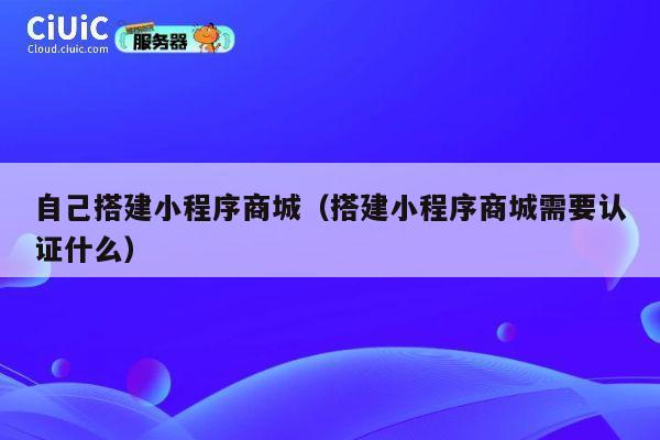 自己搭建小程序商城（搭建小程序商城需要认证什么） 第1张