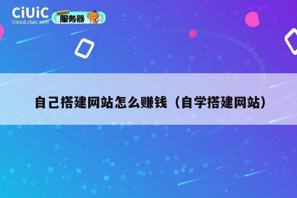 自己搭建网站怎么赚钱（自学搭建网站） 第1张