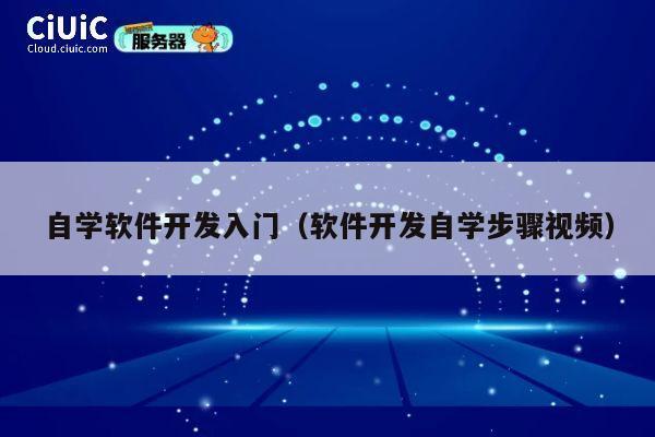 自学软件开发入门（软件开发自学步骤视频） 第1张