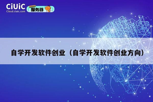 自学开发软件创业（自学开发软件创业方向） 第1张