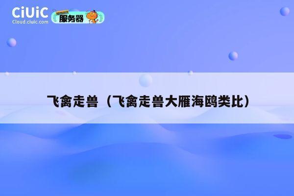 飞禽走兽（飞禽走兽大雁海鸥类比） 第1张
