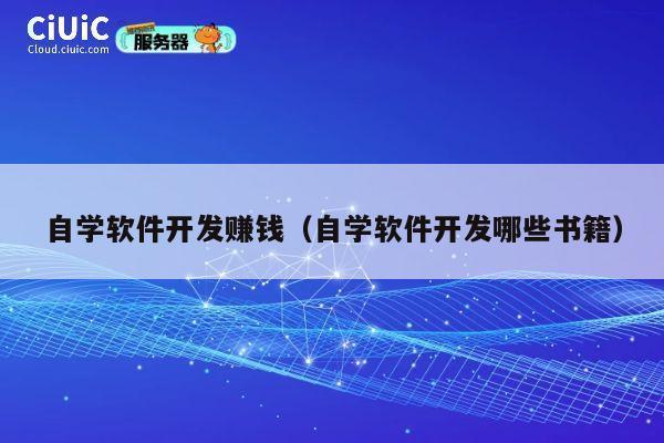 自学软件开发赚钱（自学软件开发哪些书籍） 第1张