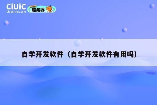 自学开发软件（自学开发软件有用吗） 第1张