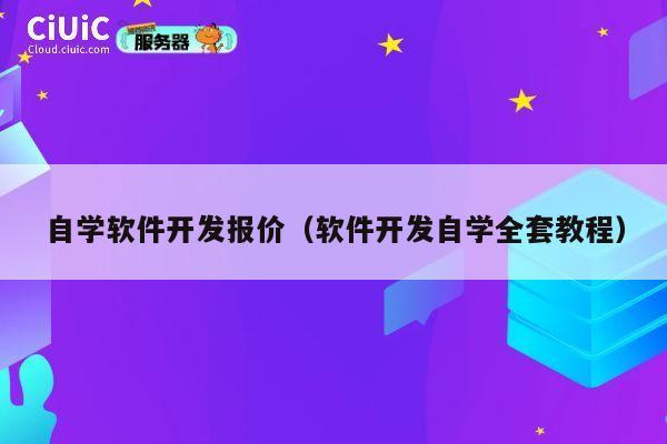 自学软件开发报价（软件开发自学全套教程） 第1张