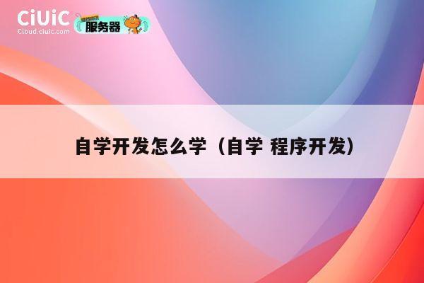 自学开发怎么学（自学 程序开发） 第1张