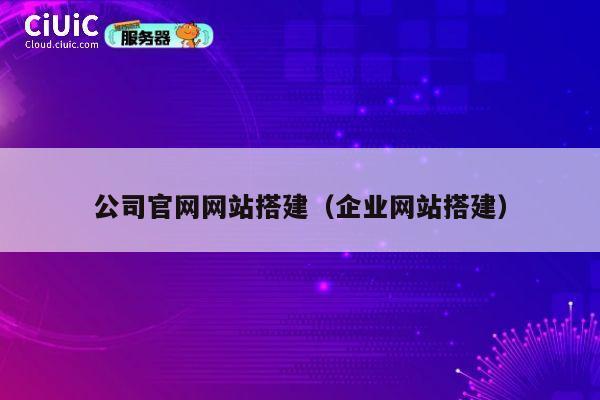 公司官网网站搭建（企业网站搭建） 第1张