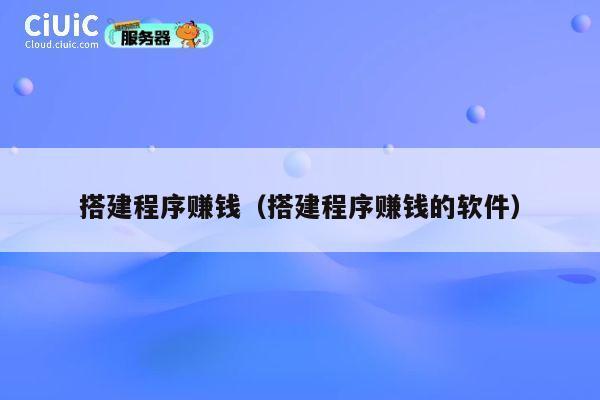 搭建程序赚钱（搭建程序赚钱的软件） 第1张