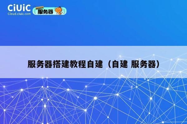 服务器搭建教程自建（自建 服务器） 第1张
