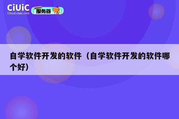 自学软件开发的软件（自学软件开发的软件哪个好） 第1张