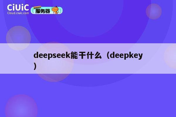 deepseek能干什么（deepkey） 第1张